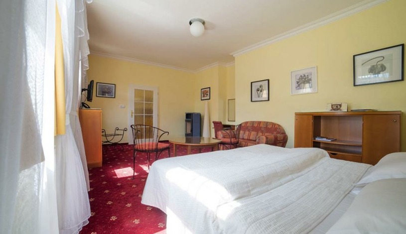 Festival Apartments Karlovy Vary - Apartmán